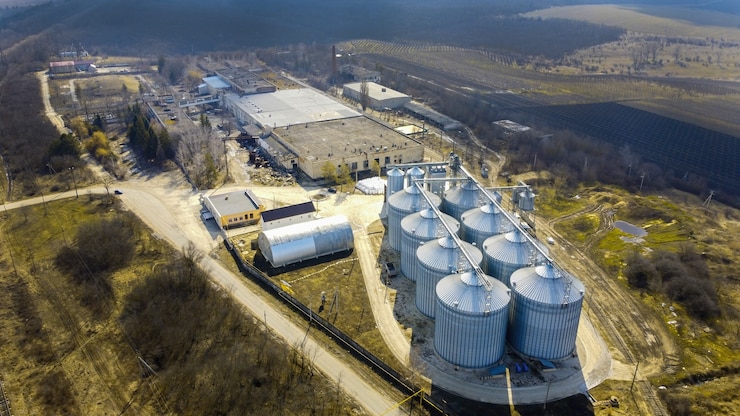 Зарубежные фонды контролируют одесский зерновой терминал.