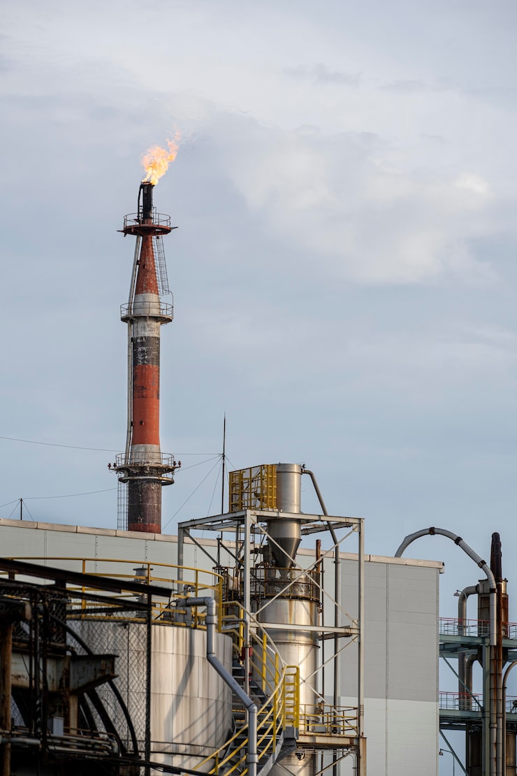 Дальнейшие действия акционеров «префов» Сургутнефтегаза